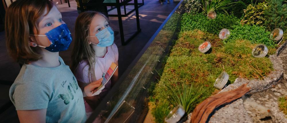 Zwei Mädchen, die Mundschutz tragen, stehen vor einem Bodenmodell mit runden Plastikbehältern.