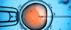 Starthilfe. Die künstliche Befruchtung ist längst Routine - doch nur eine von vier Frauen wird nach dem Einsetzen des Embryos tatsächlich schwanger. 