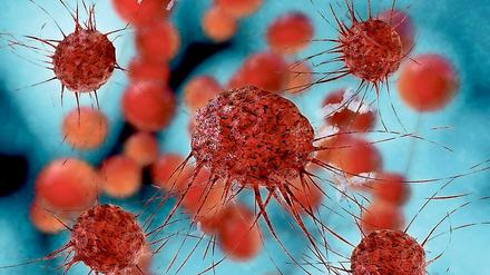 Bevor sich Krebszellen vermehren, sammeln viele Mutationen in ihrem Erbgut.