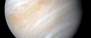 60 Kilometer hohe Wolken in der Venus-Atmosphäre könnten lebensfreundliche Bedingungen bieten, Hinweise auf Leben fehlen aber.