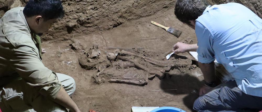 Aus der Größe des Skelettes schließen die Forschenden auf das männliche Geschlecht des Steinzeitmenschen.