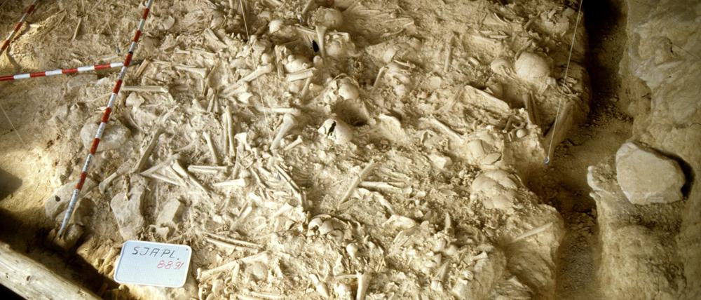 Knochenreste in der Grabstätte in einer nordspanischen Höhle vor der Ausgrabung.