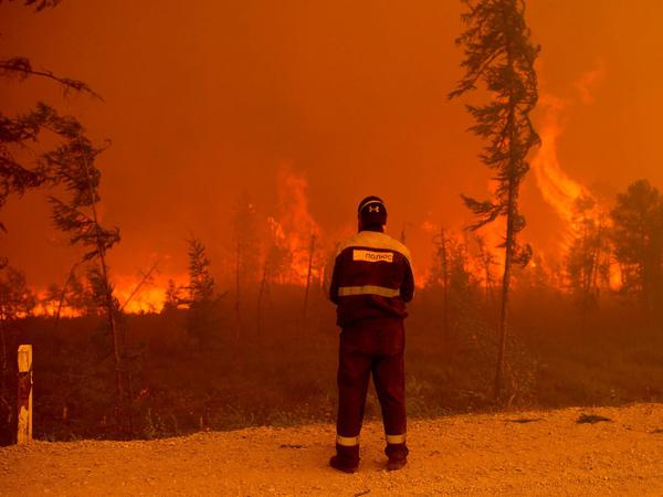 Die Waldbrände haben sich in Russland durch mehr als drei Millionen Hektar gefressen. Zum Teil werden sie als Folge der Klimaveränderungen gesehen. 
